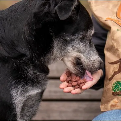 Vegan4Dogs GRETA MINI