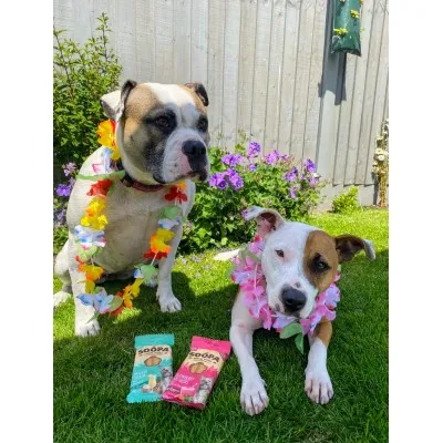 Soopa Dentals Strawberry Dog-Quiri 