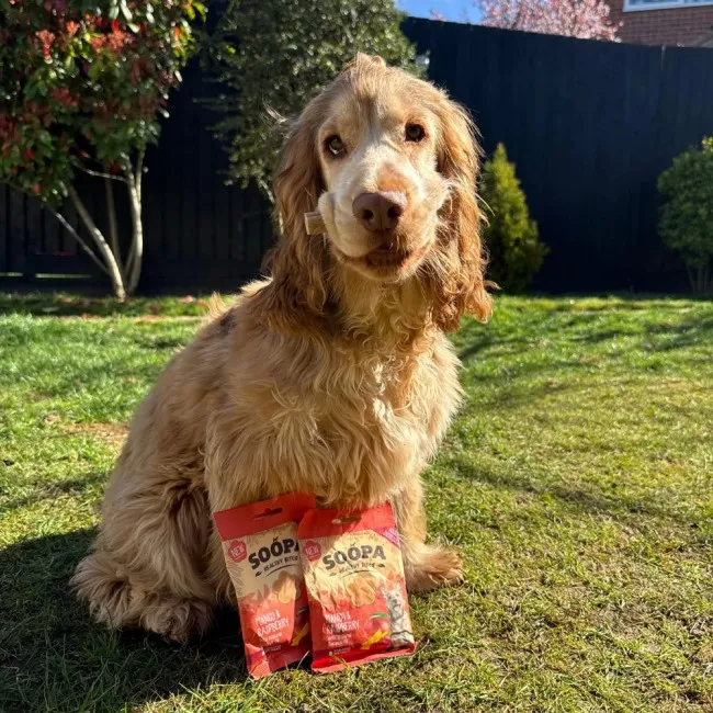 Soopa Dentals MANGO & RASPBERRY