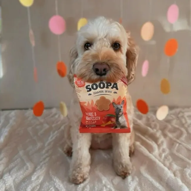 Soopa Bites MANGO & RASPBERRY