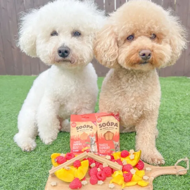 Soopa Dentals MANGO & RASPBERRY