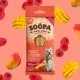 Soopa Dentals MANGO & RASPBERRY