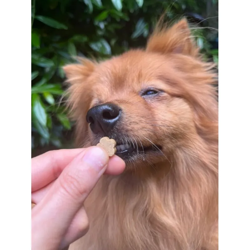 Soopa MINI Bites BANANA & PUMPKIN 