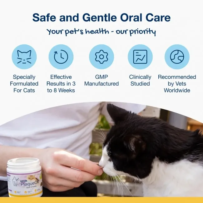ProDen PlaqueOff SOFT CHEWS for cats