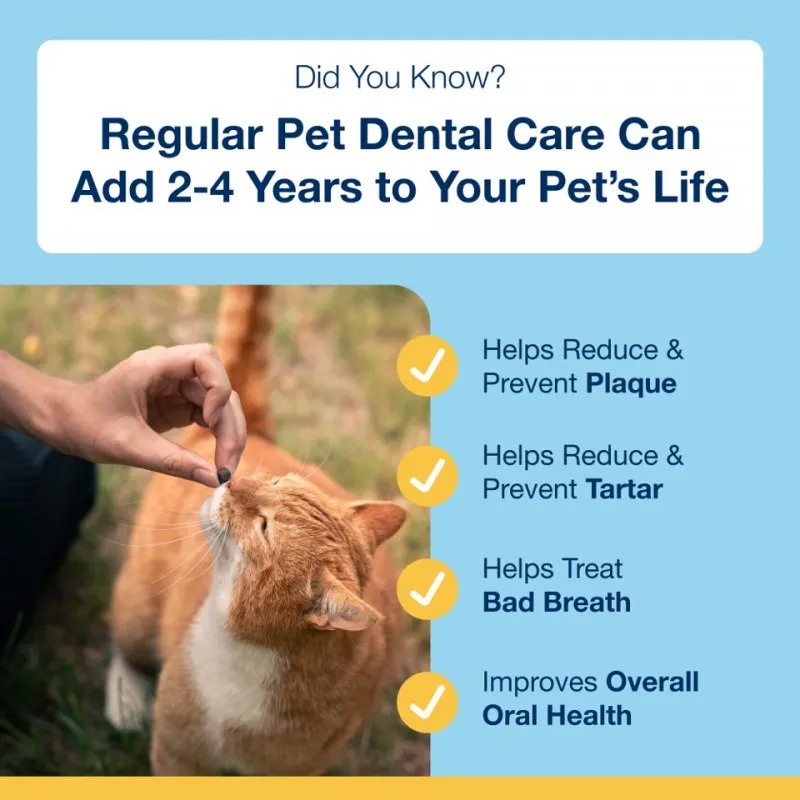 ProDen PlaqueOff DENTAL BITES for Cat