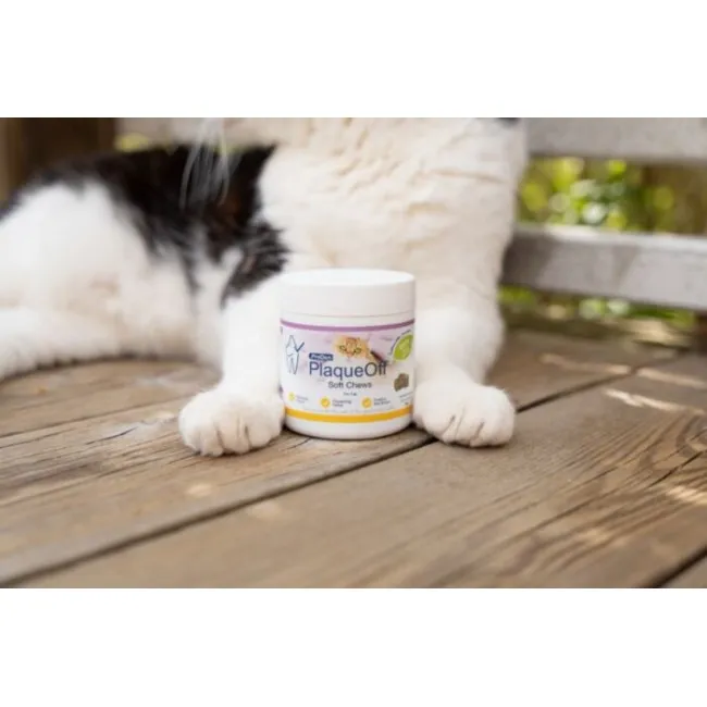 ProDen PlaqueOff SOFT CHEWS for cats