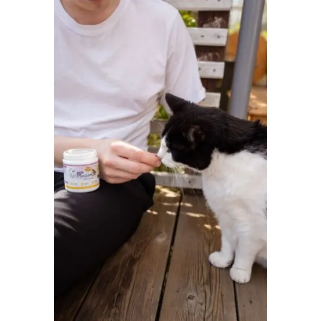 ProDen PlaqueOff SOFT CHEWS for cats